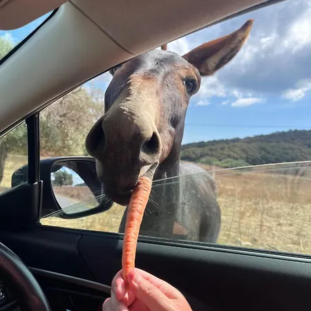 Apartamento Courtyard Long 2-bedroom Lux