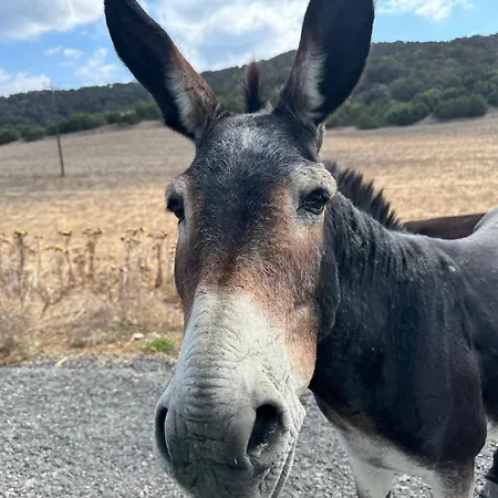 Courtyard Long 2-bedroom Lux Apartamento