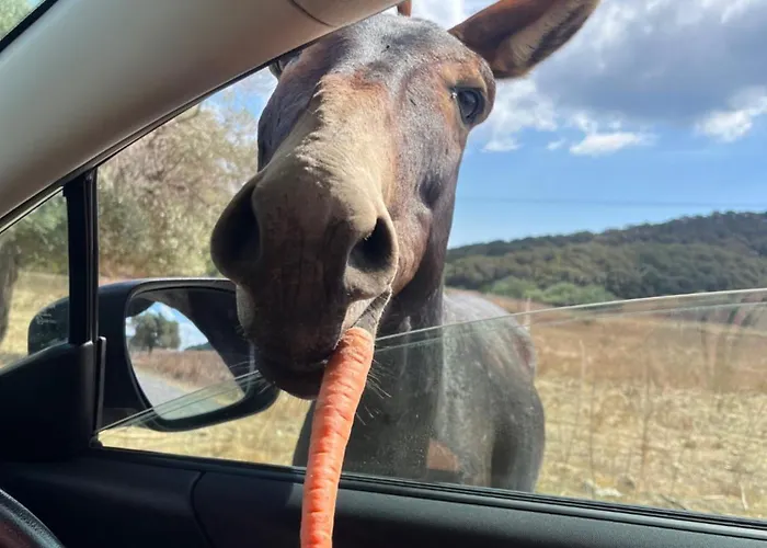 Apartmán Courtyard Long 2-bedroom Lux