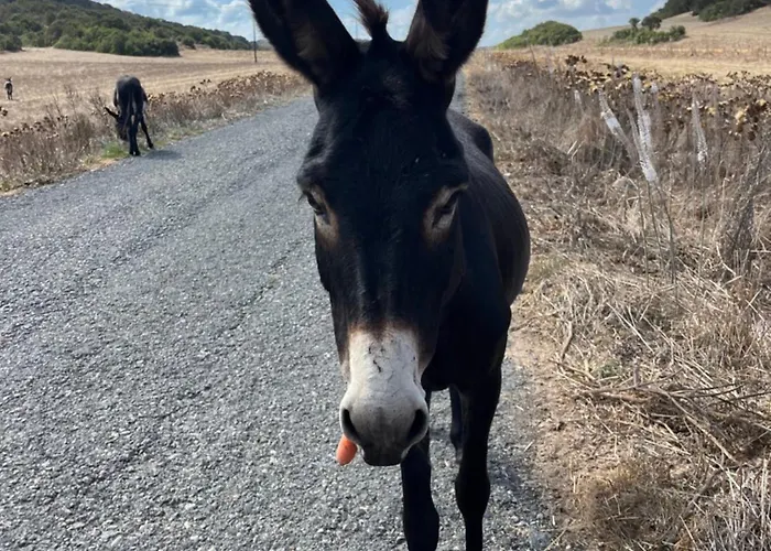 Apartmán Courtyard Long 2-bedroom Lux Gastria