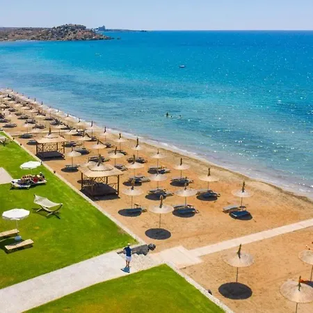 Four Seasons Life - Diamond Street - Sea Star 11B * Gastria