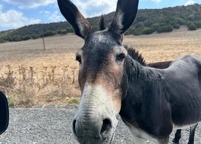 Courtyard Long 2-bedroom Lux Διαμέρισμα